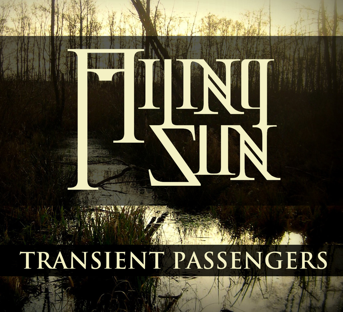 Transient Passengers