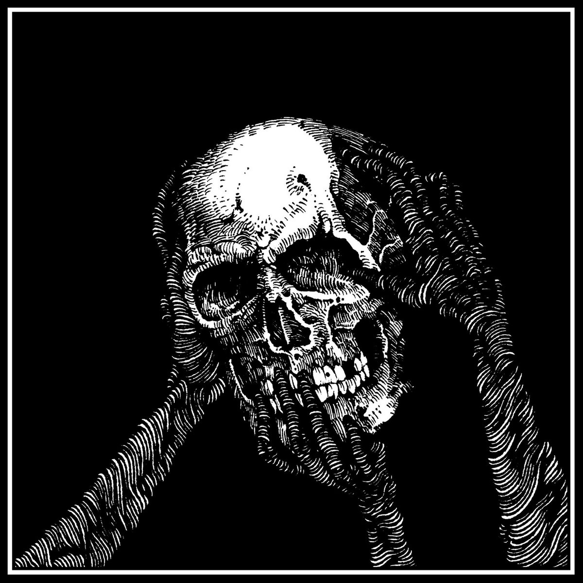 Черный Свет