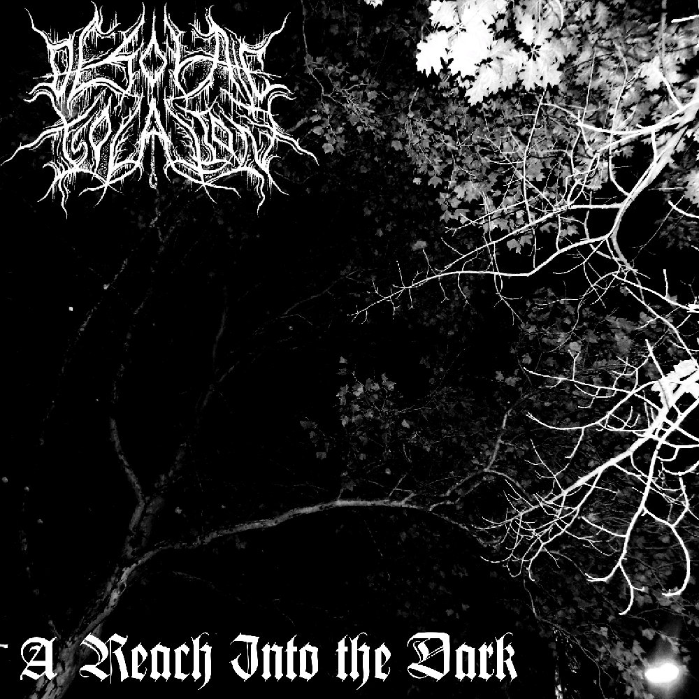 A Reach Into the Dark