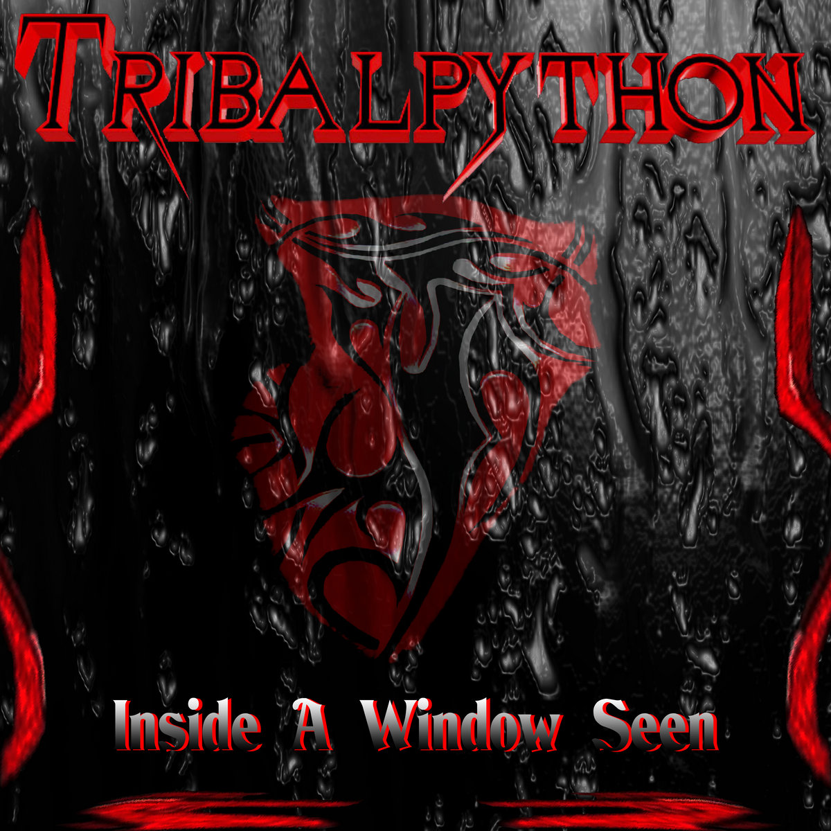 Inside A Window Seen