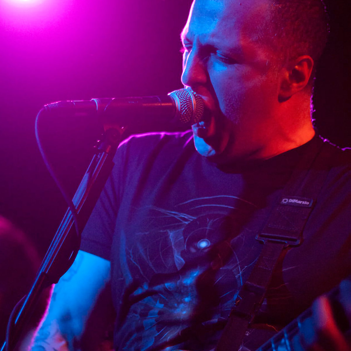 Live in Los Angeles 2012