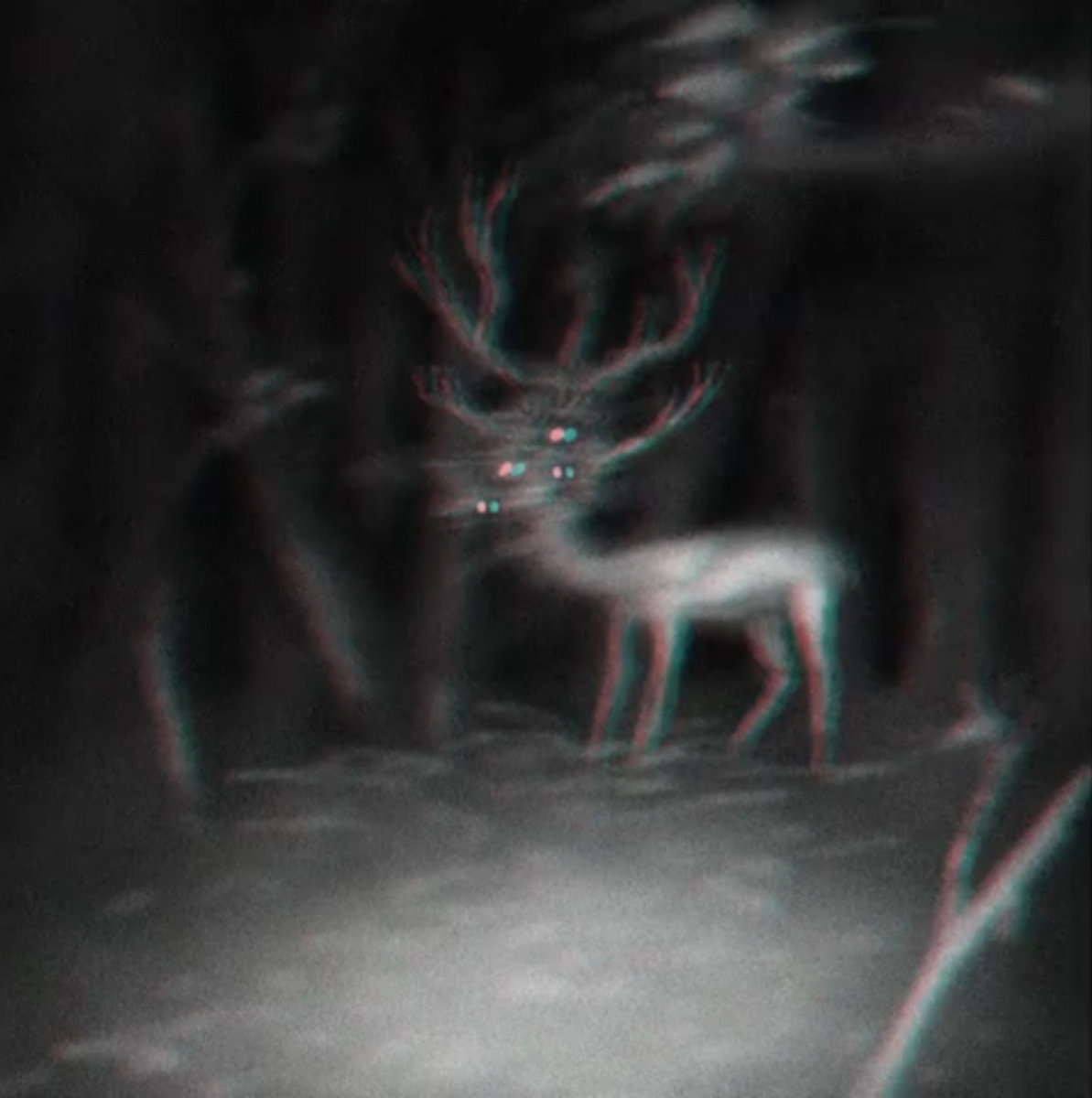 Necroserialembryonicdismemberment (Instrumental) - 2019 promo