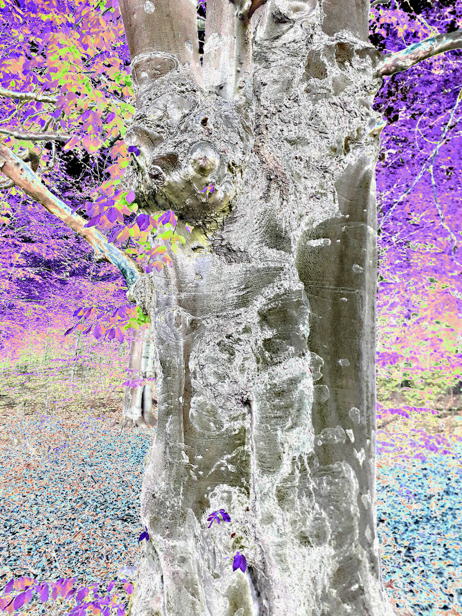 Songs Of Sadness (S.O.S.)