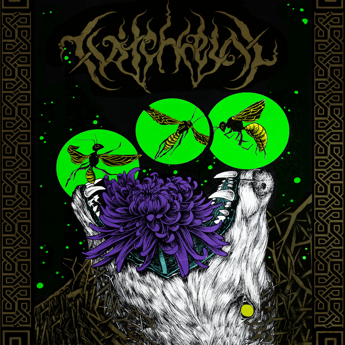 Dead Nights Of The Moon Fear