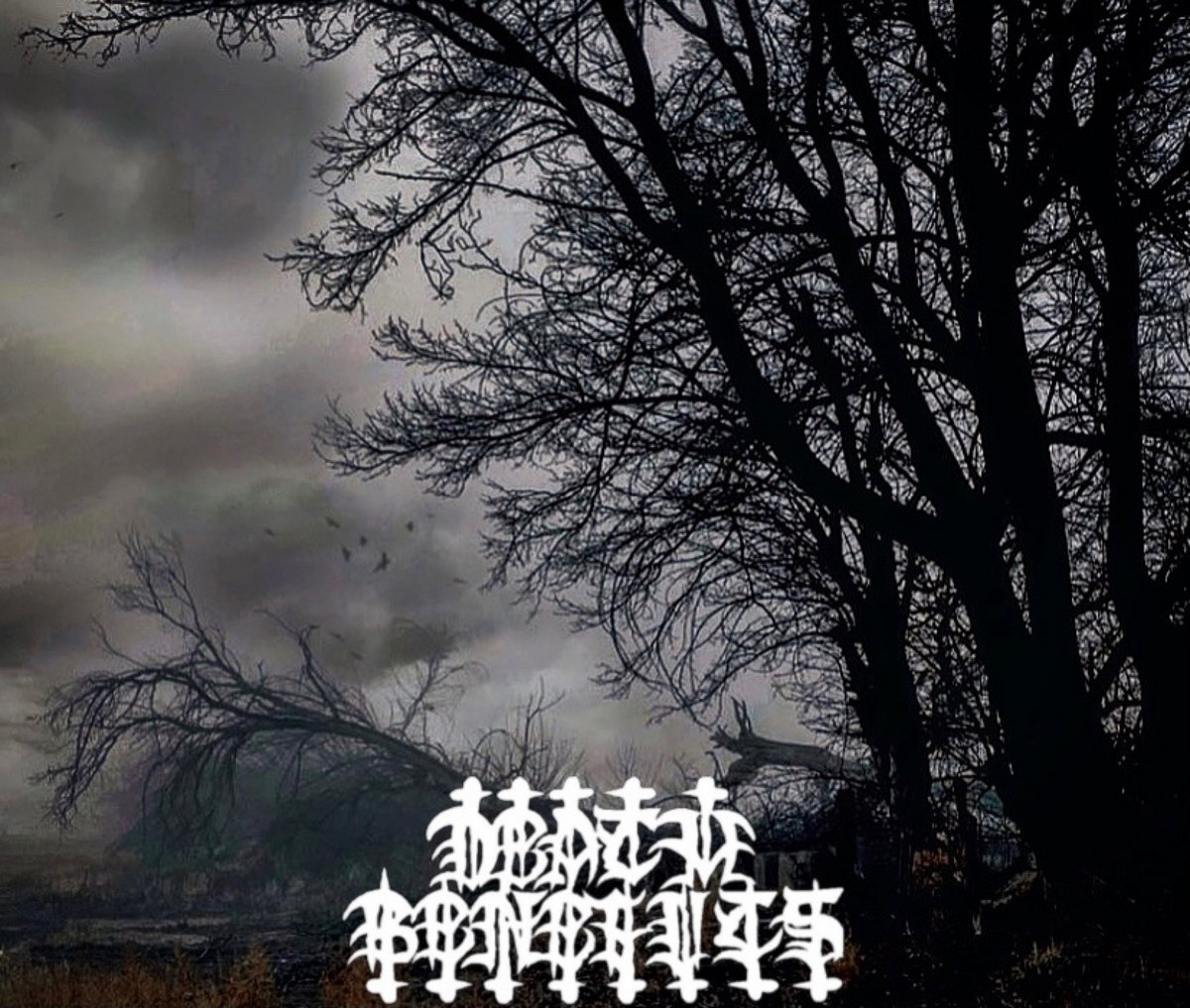 A Funeral Abrupt (Single)