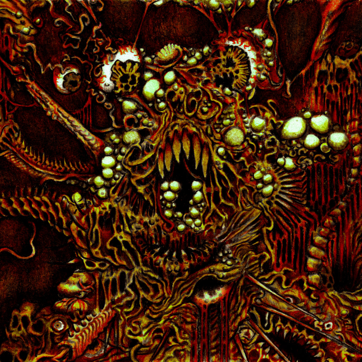 The Expedition of Illness (PLEASE READ)