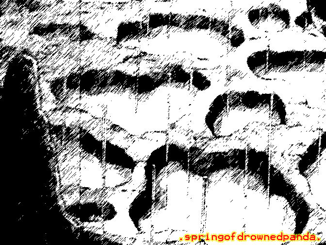 .springofdrownedpanda.