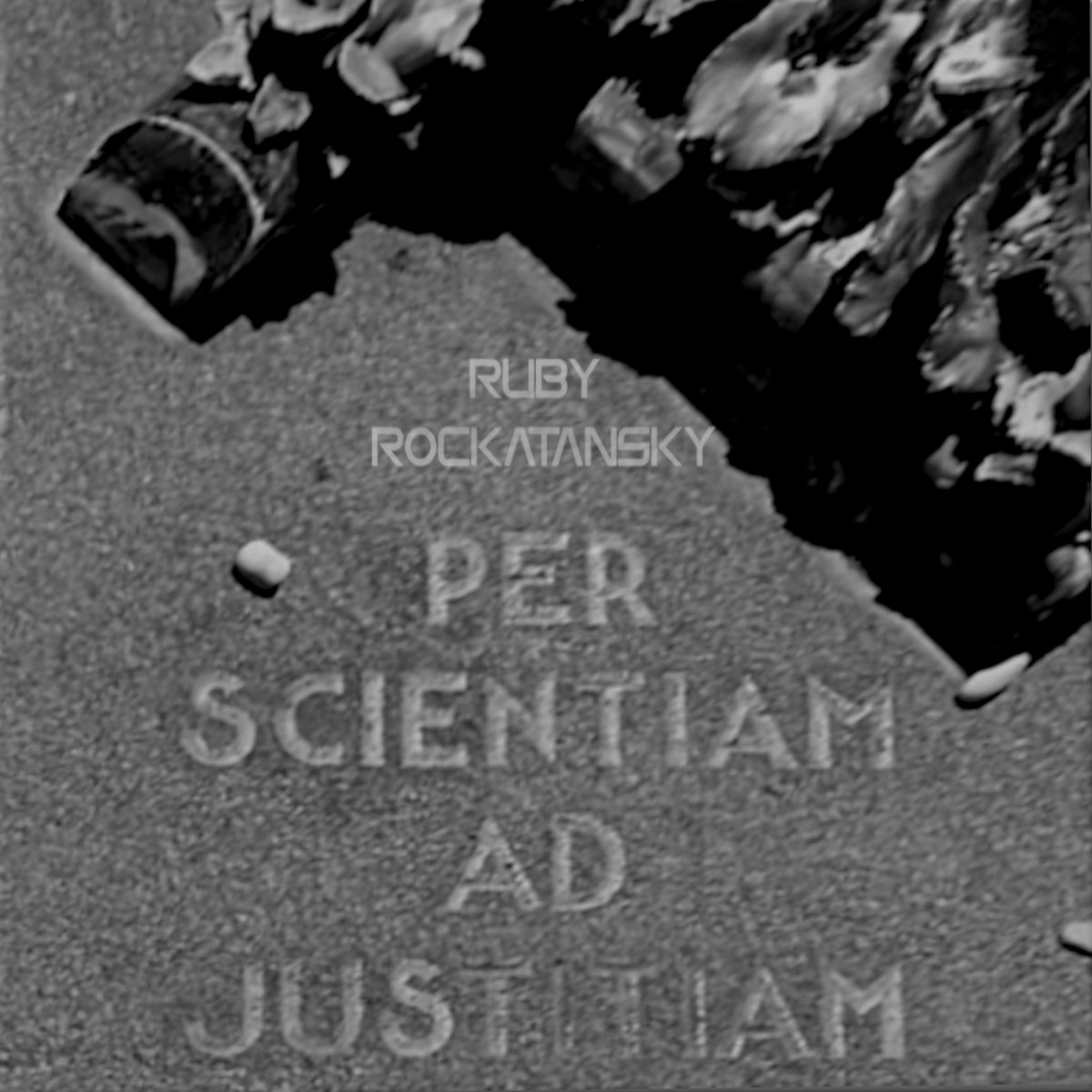 Per Scientiam ad Justitiam