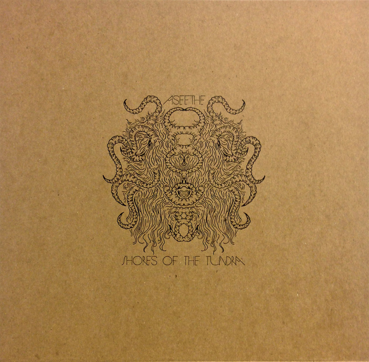 Aseethe / Shores of the Tundra Split