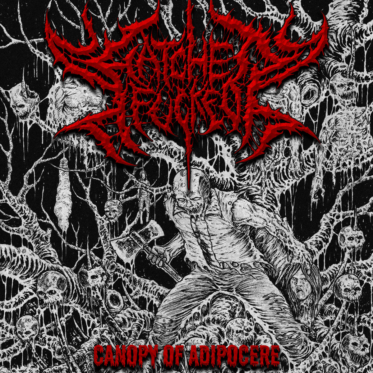 Canopy of Adipocere