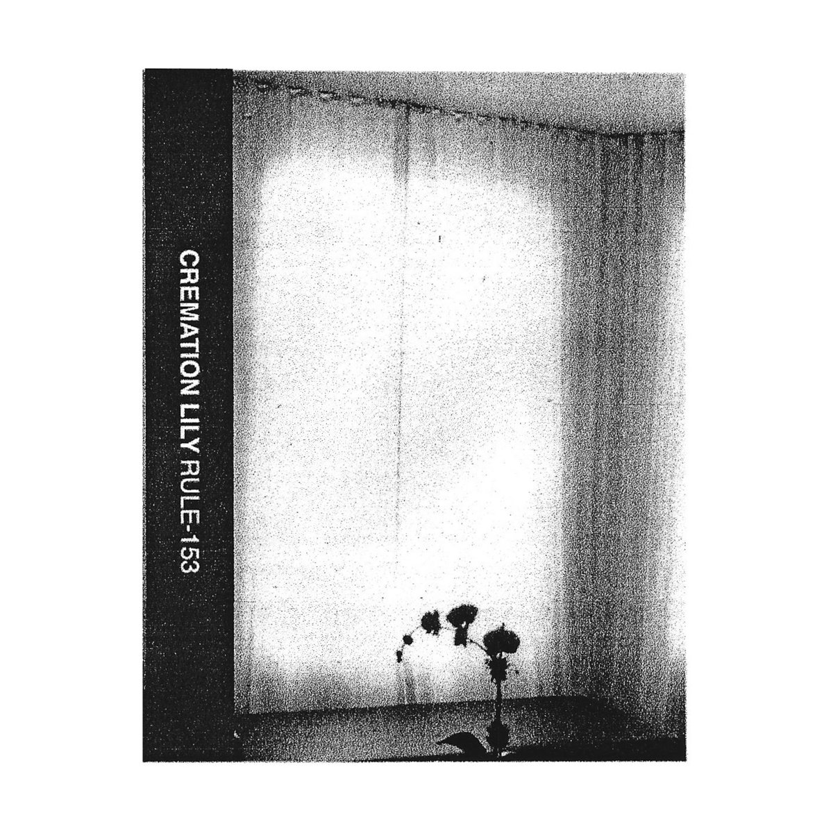 Perspective/Landscape