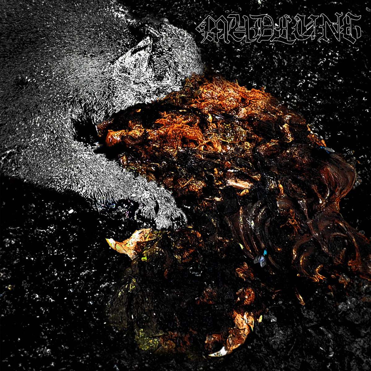 Garage Jams 6/18/2019