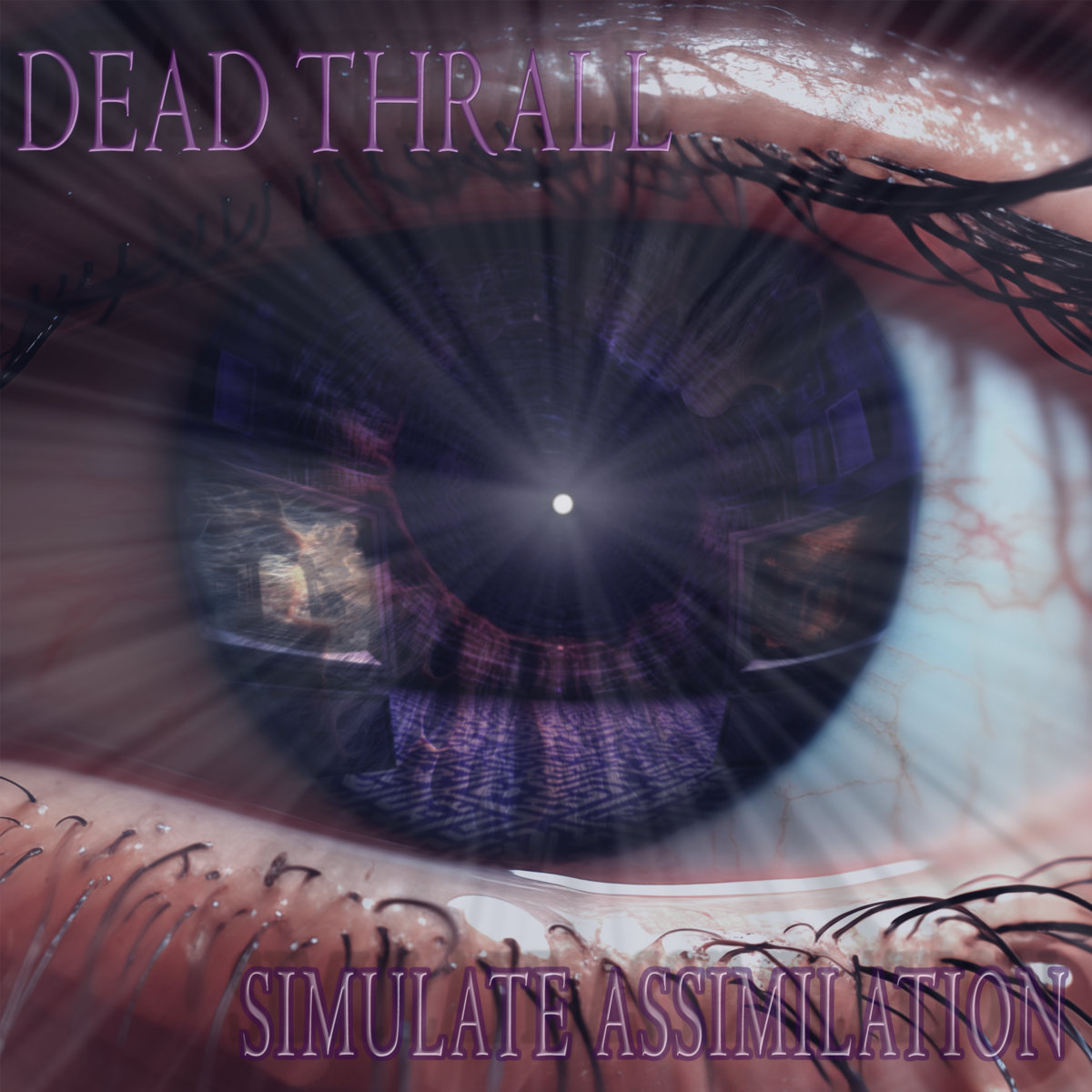 Simulate Assimilation