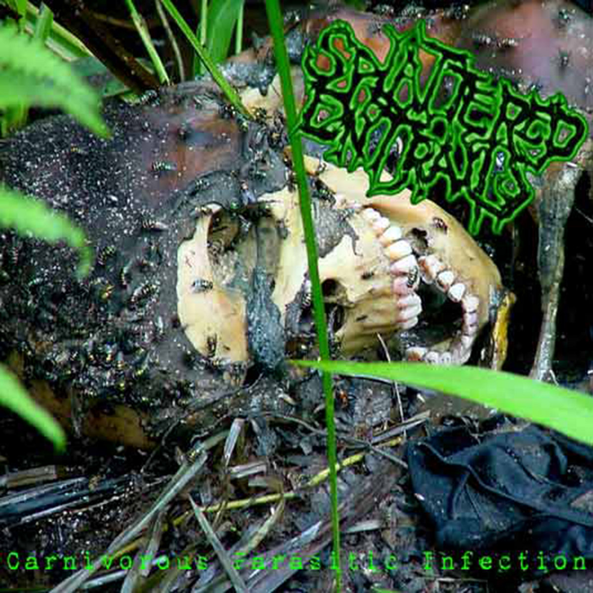 Carnivorous Parasitic Infection
