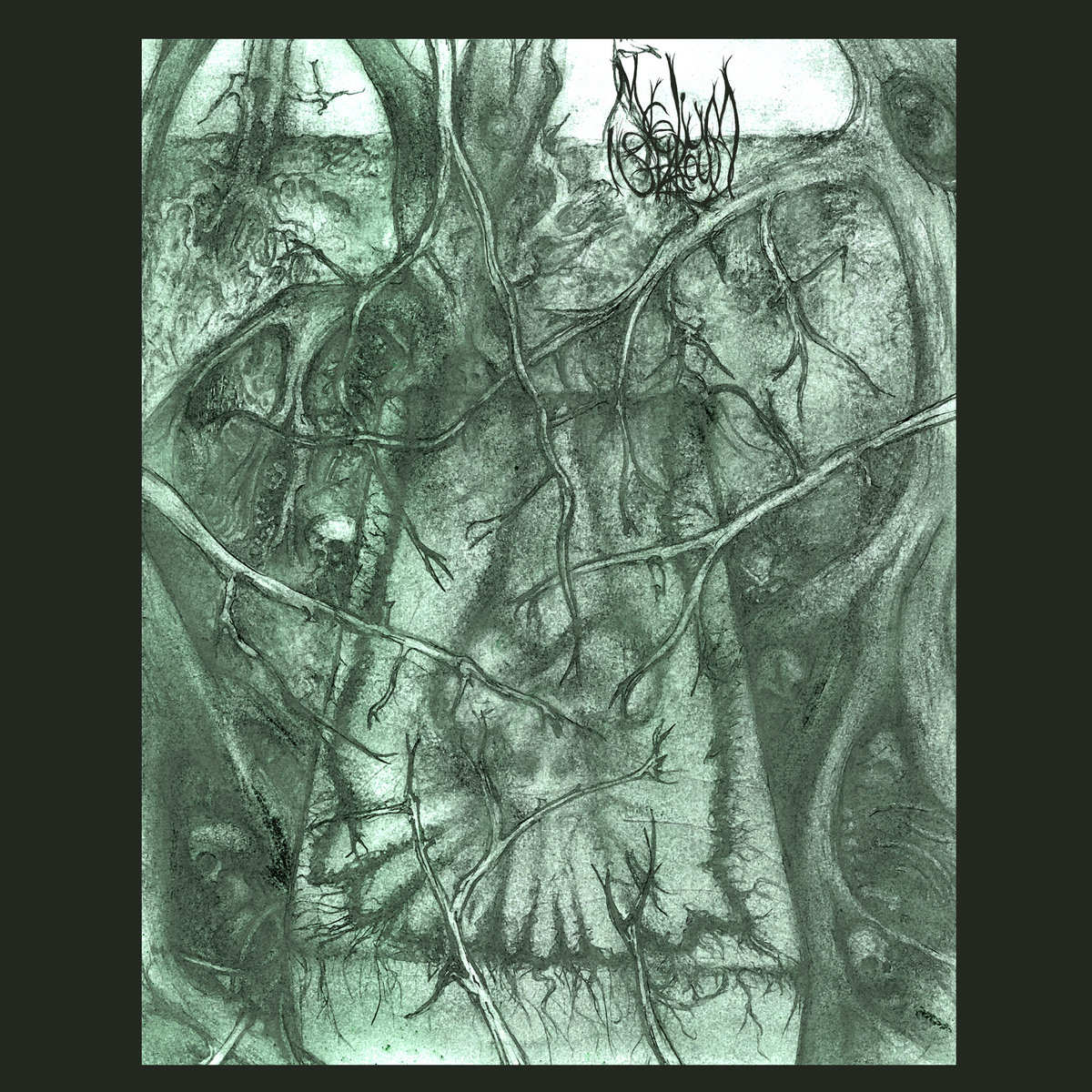 Mycelium Shroud (remastered and expanded)