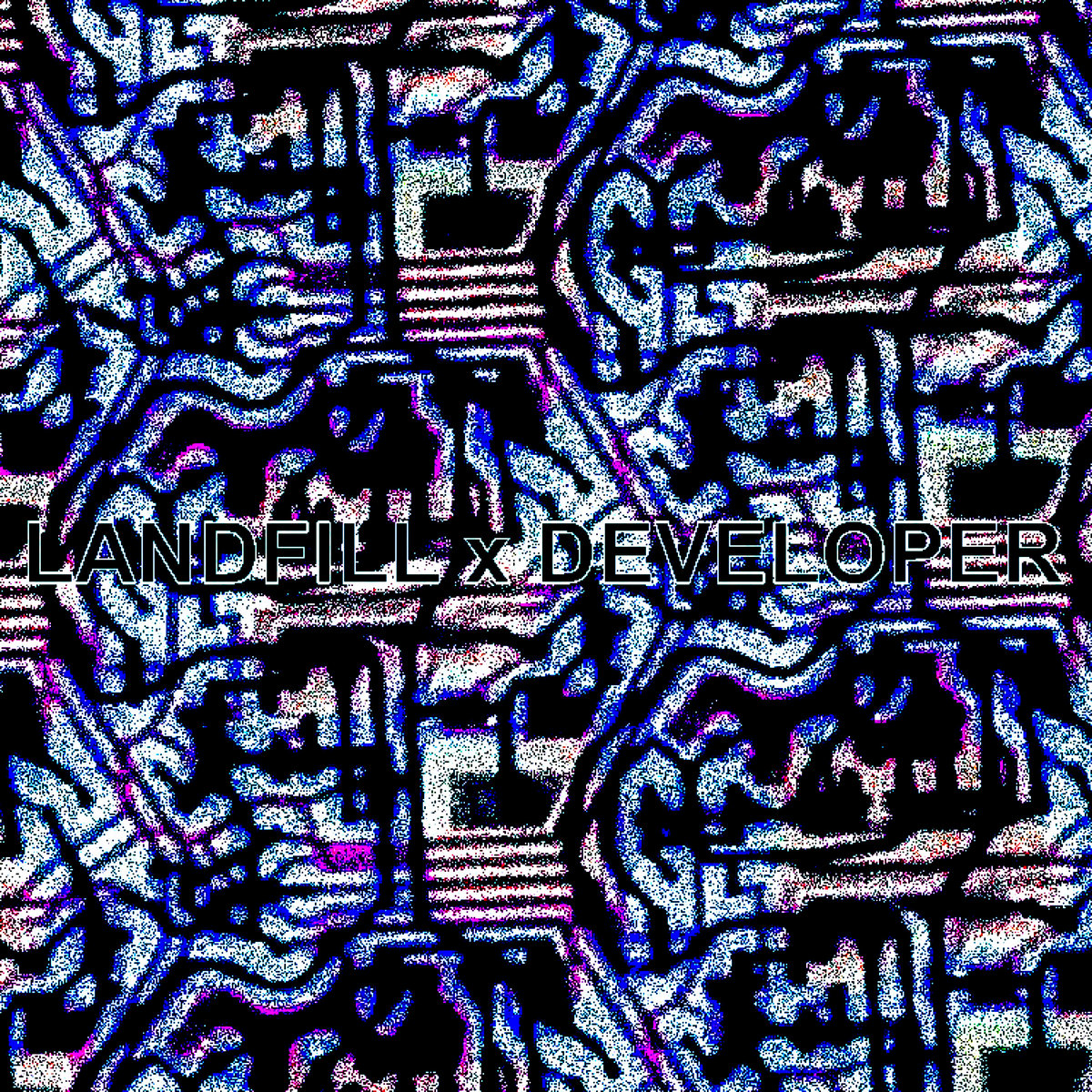 Landfill x Developer