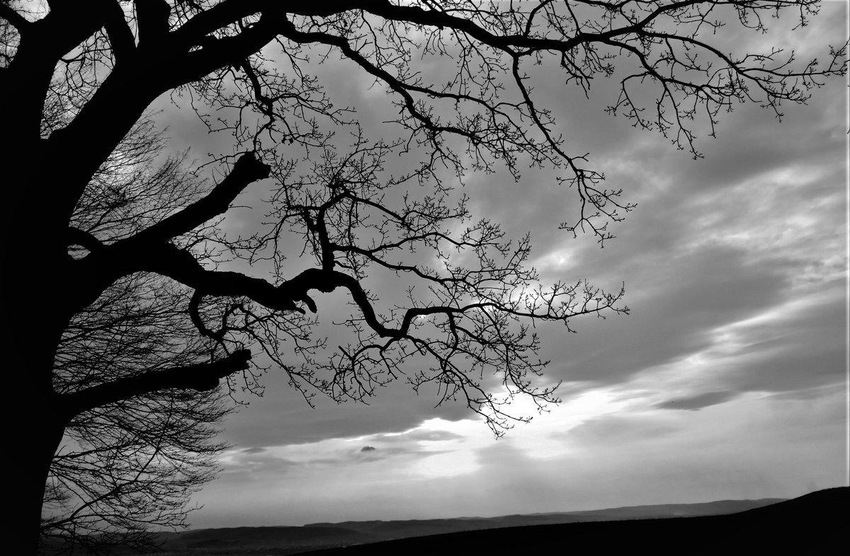 DARK ASYLUM Demo (Unmixed/Unmastered)