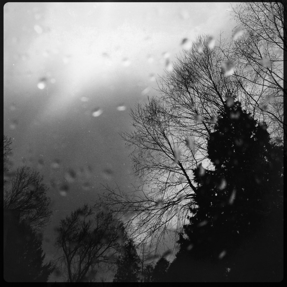 Gathering Night (Demo Version)