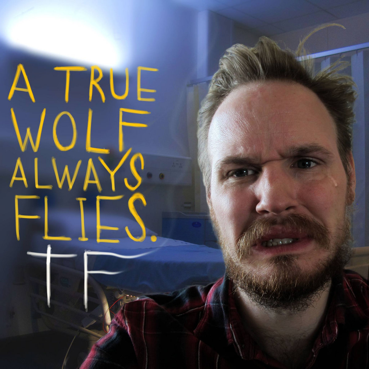 A True Wolf Always Flyes