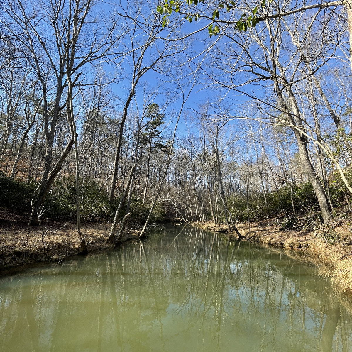 Only the Earth Recalls