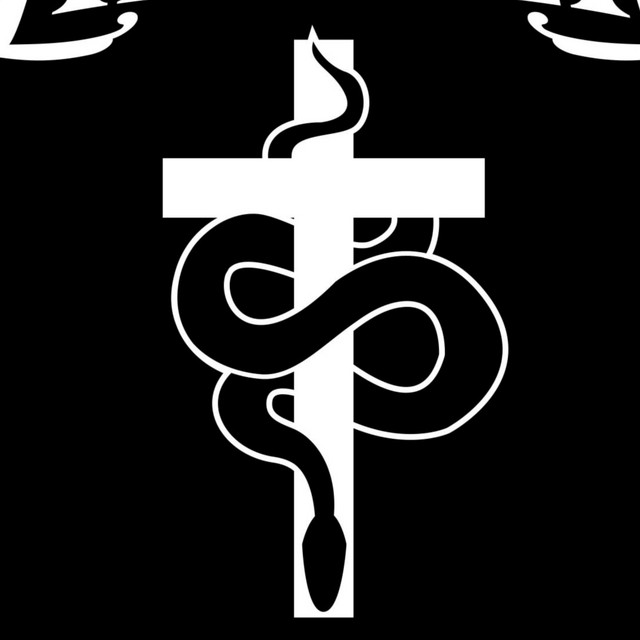 Snake Healer