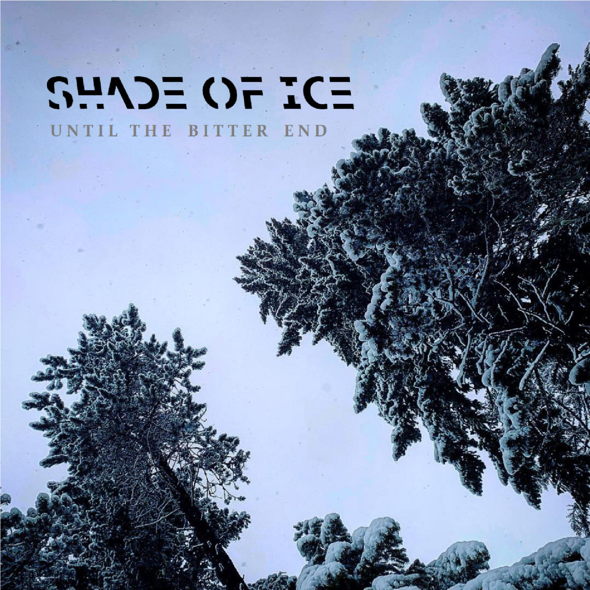 Until the Bitter End