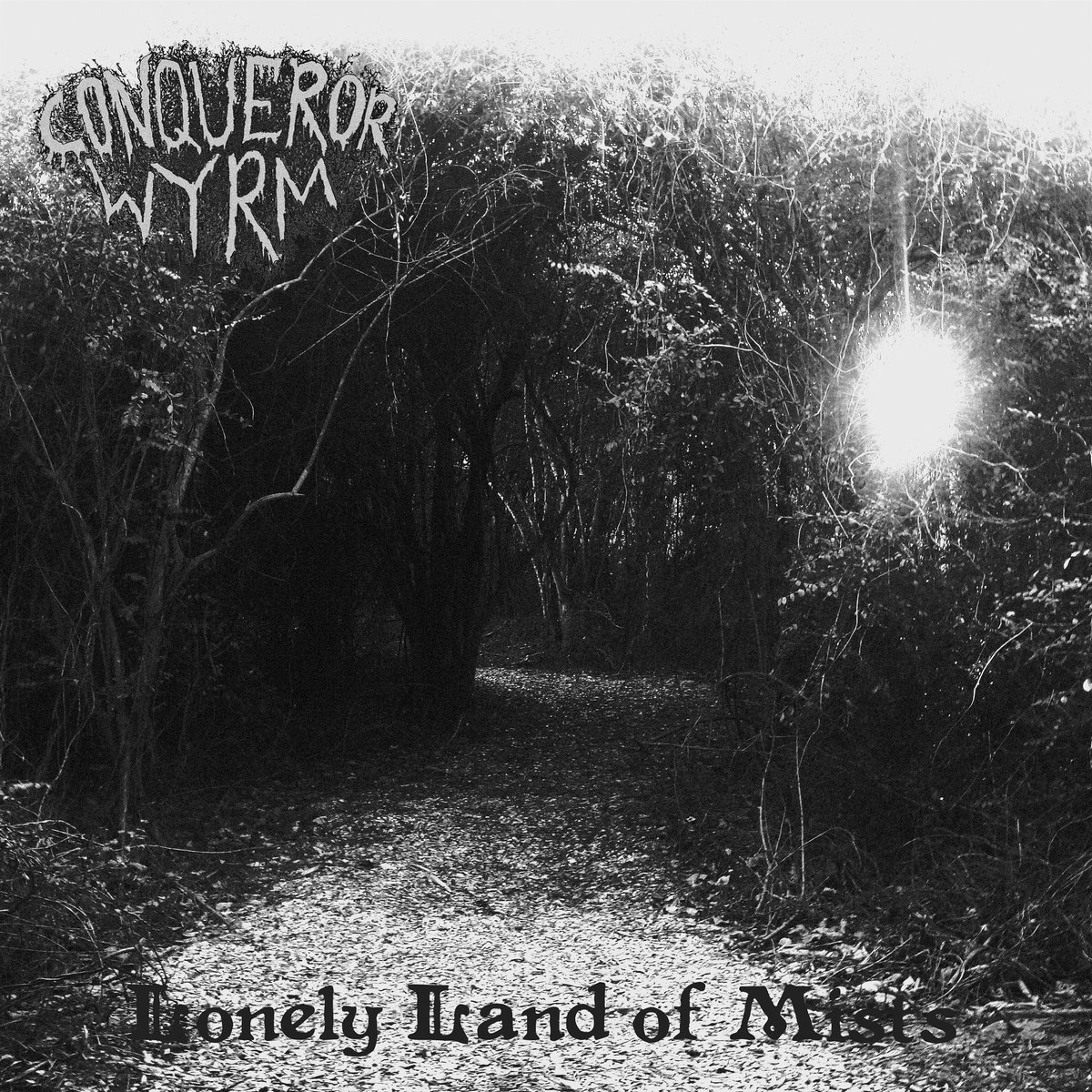 Lonely Land of Mists