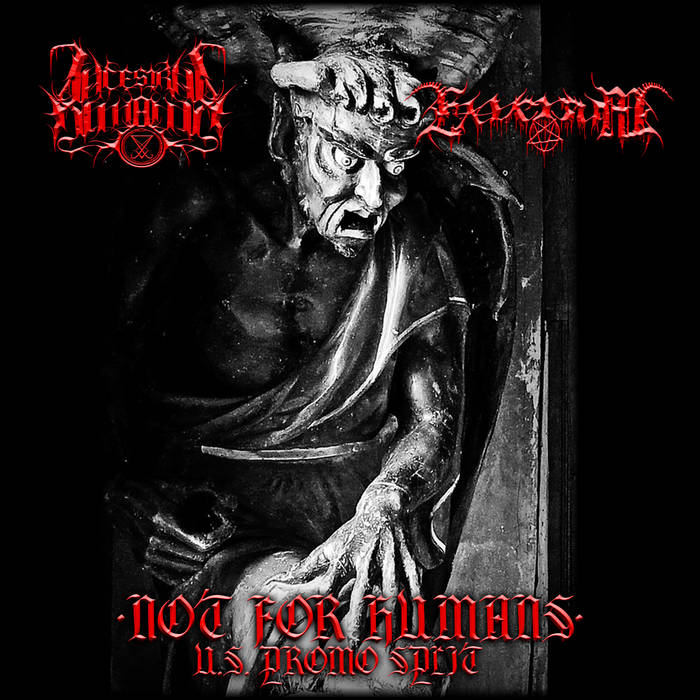 NOT FOR HUMANS U.S. SPLIT