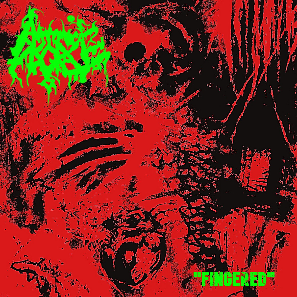 ANATOMICAL DISGRACE - FINGERED