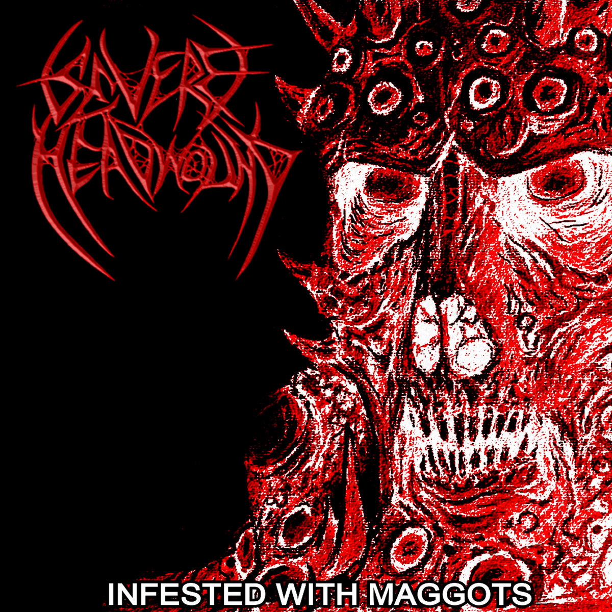 INFESTED WITH MAGGOTS