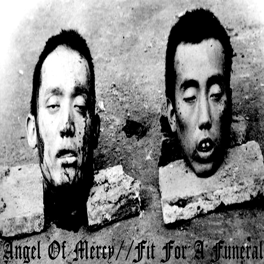 Split With Fit For A Funeral