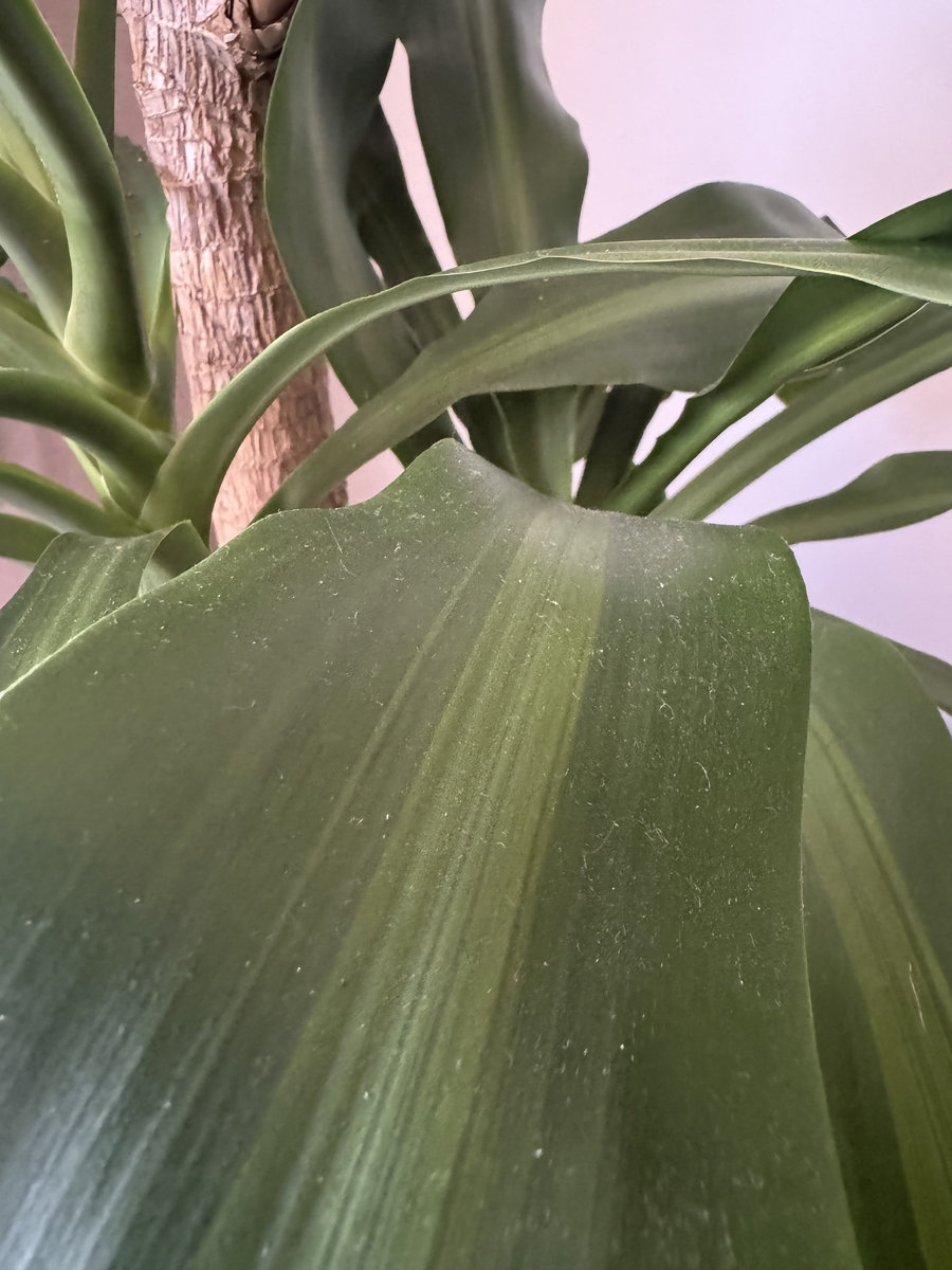 Hyper Pleasure (Single Edit)