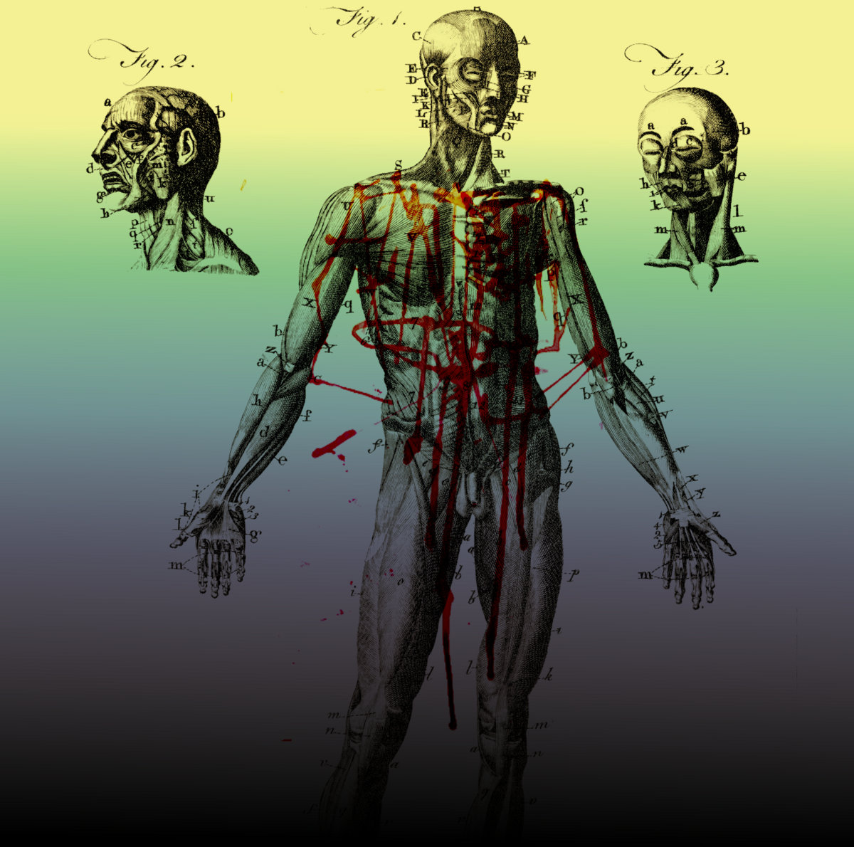 Terminal Velocity EP