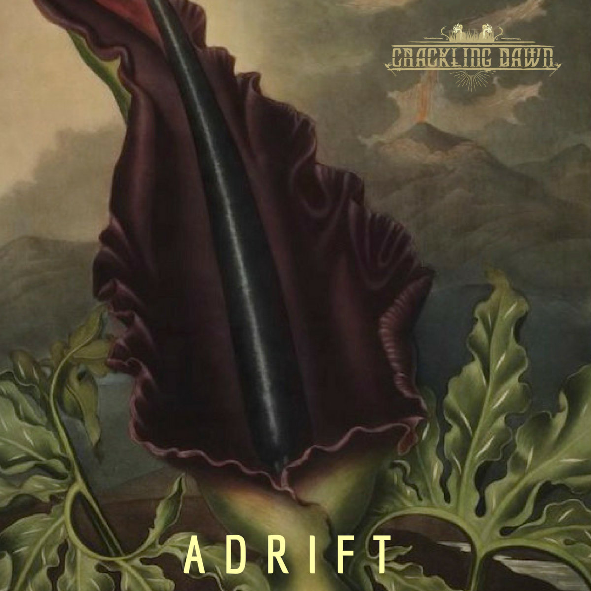 Adrift EP