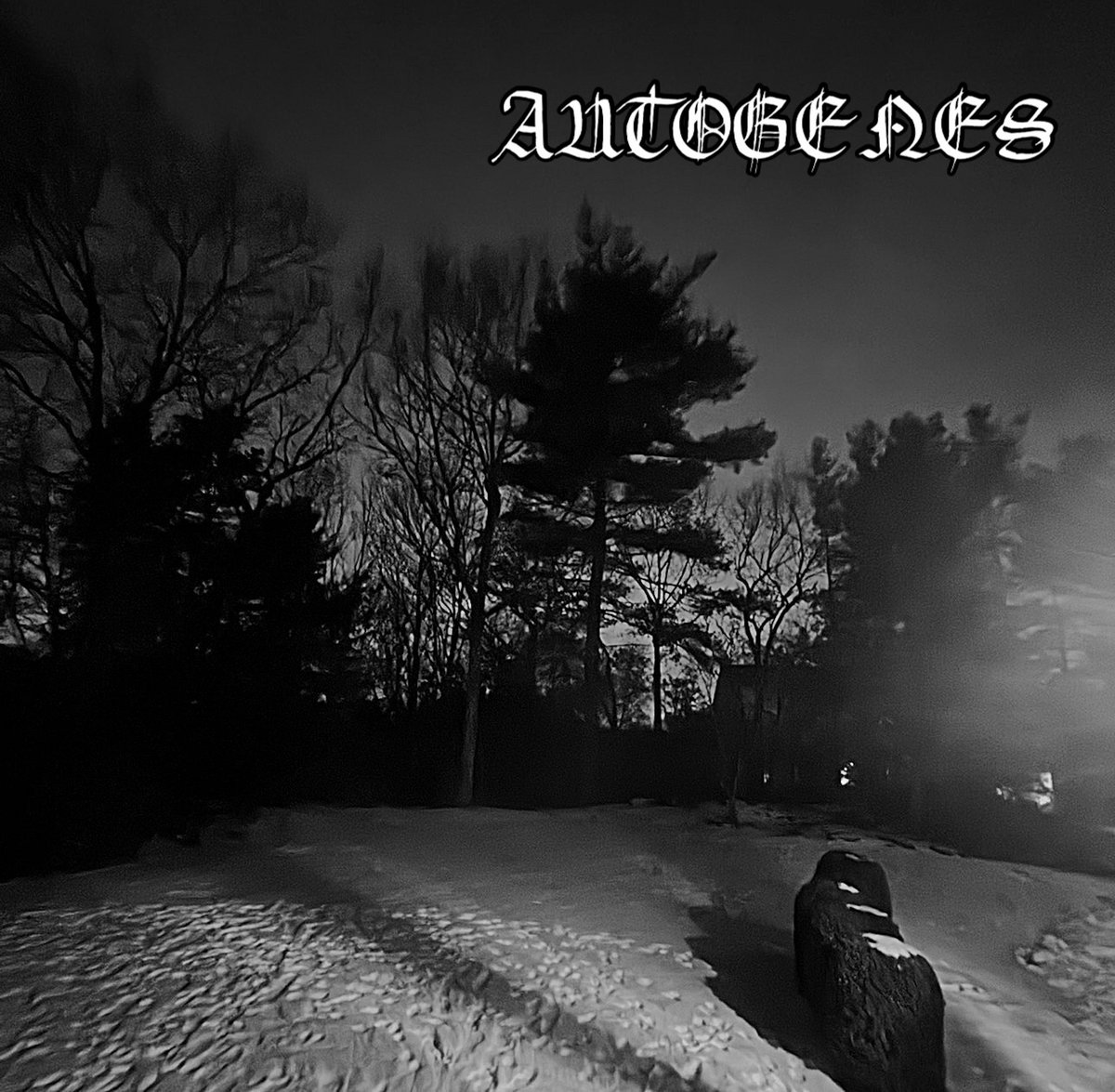 The Howling Soul (DEMO)