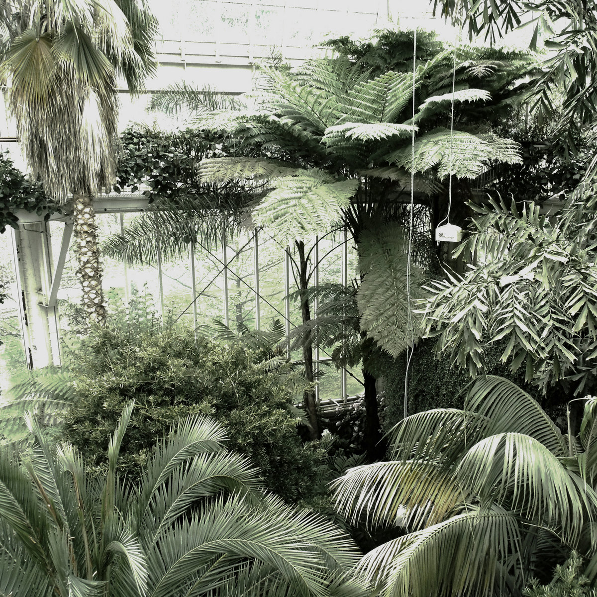 Basic for Reflection