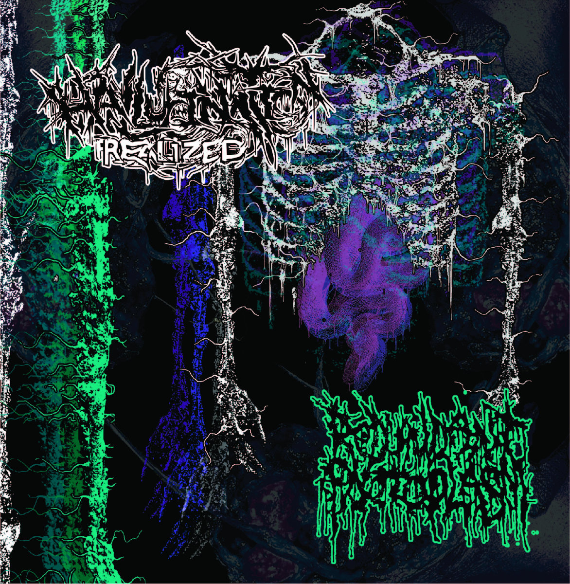 Redundant Protoplasm / / Hallucination Realized Split
