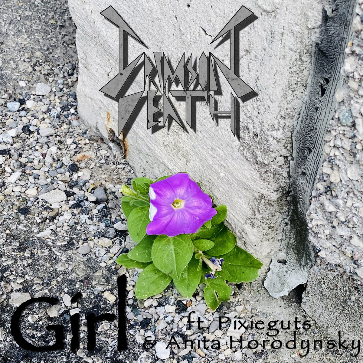 Girl (feat. Pixieguts & Anita Horodynsky)