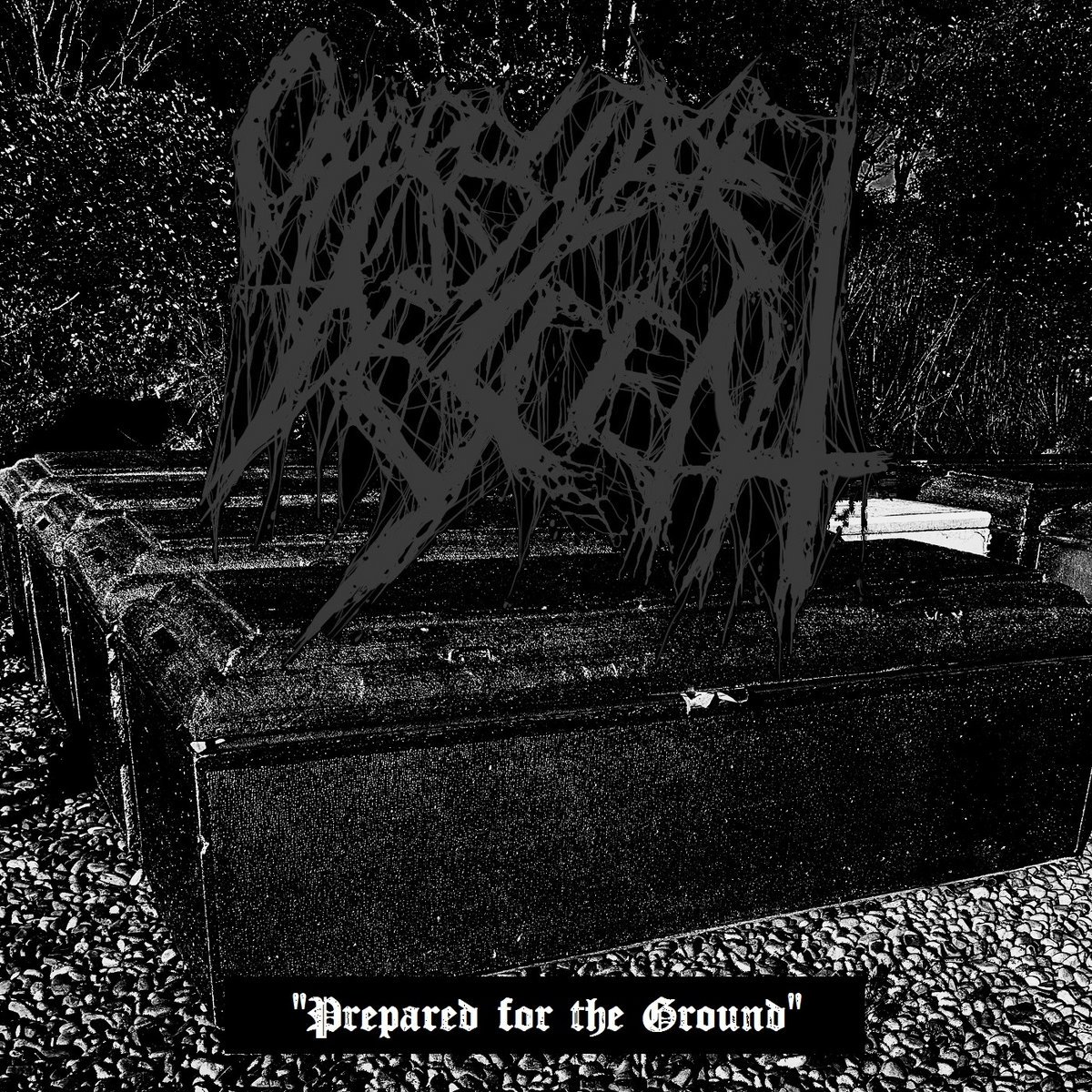 Prepared for the Ground