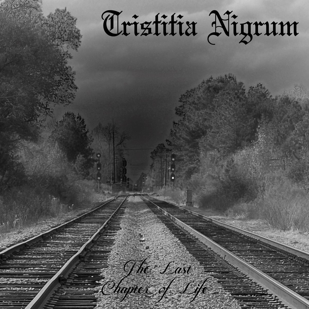 The Last Chapter of Life