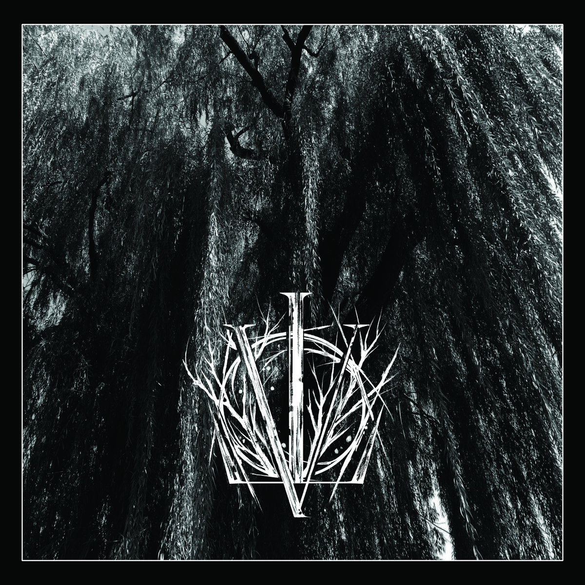 Engulfed by an Abhorrence of Light