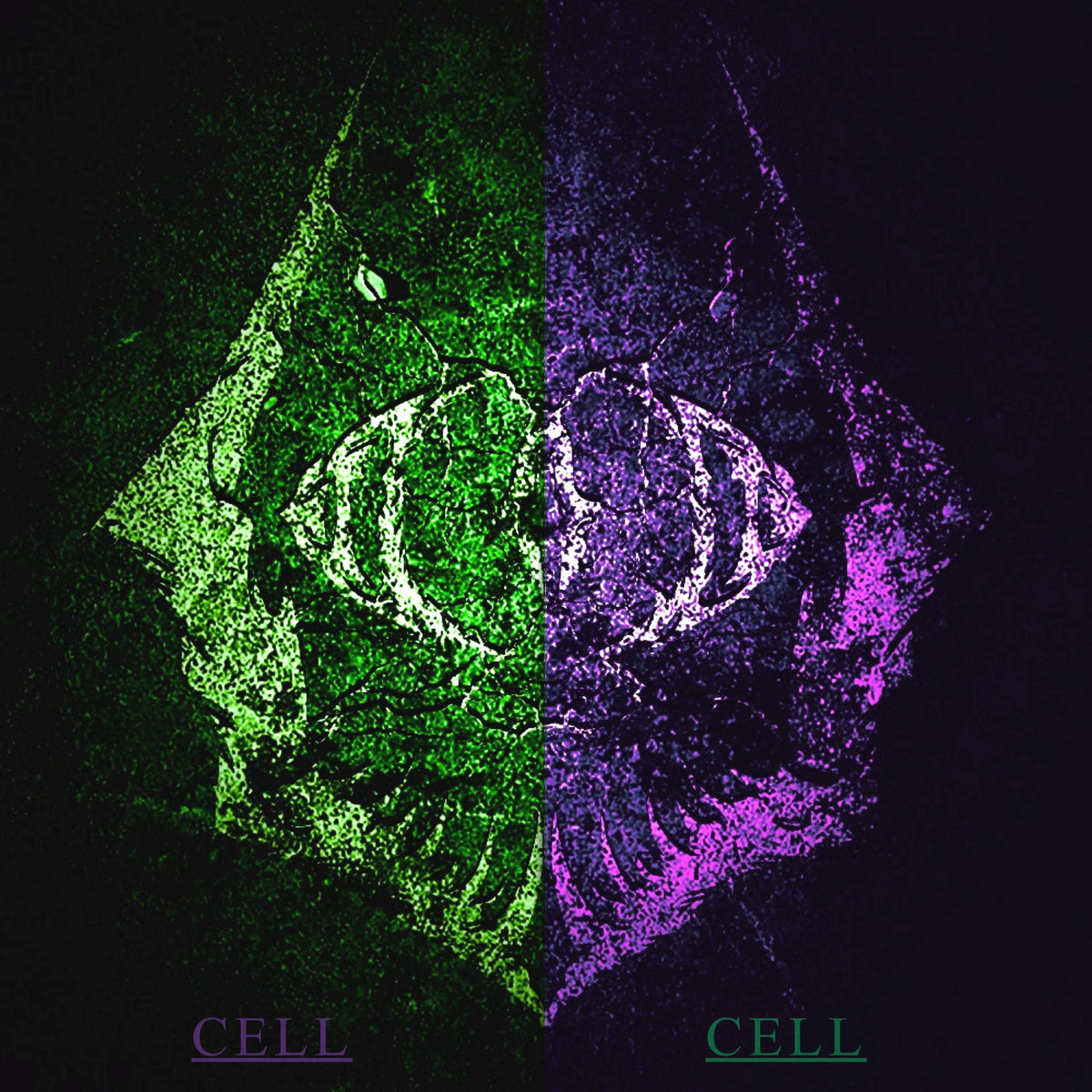 CELL