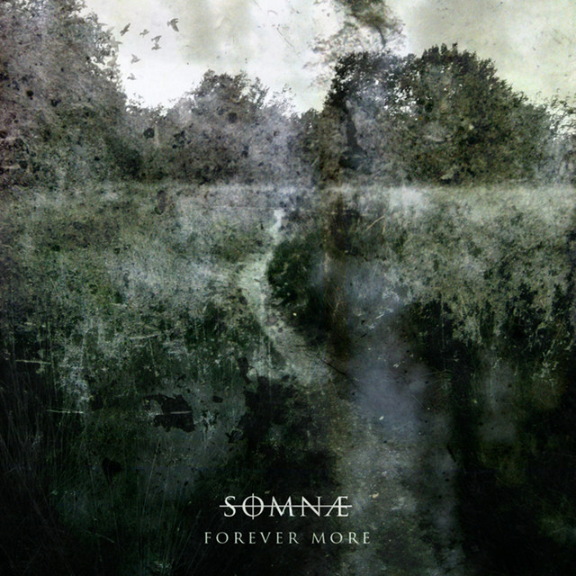 Somnae