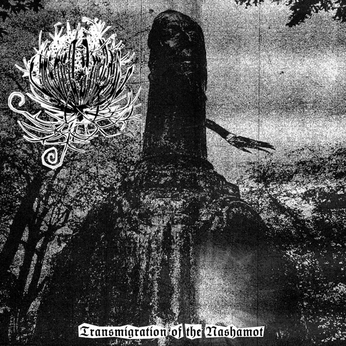 Transmigration of the Nashamot