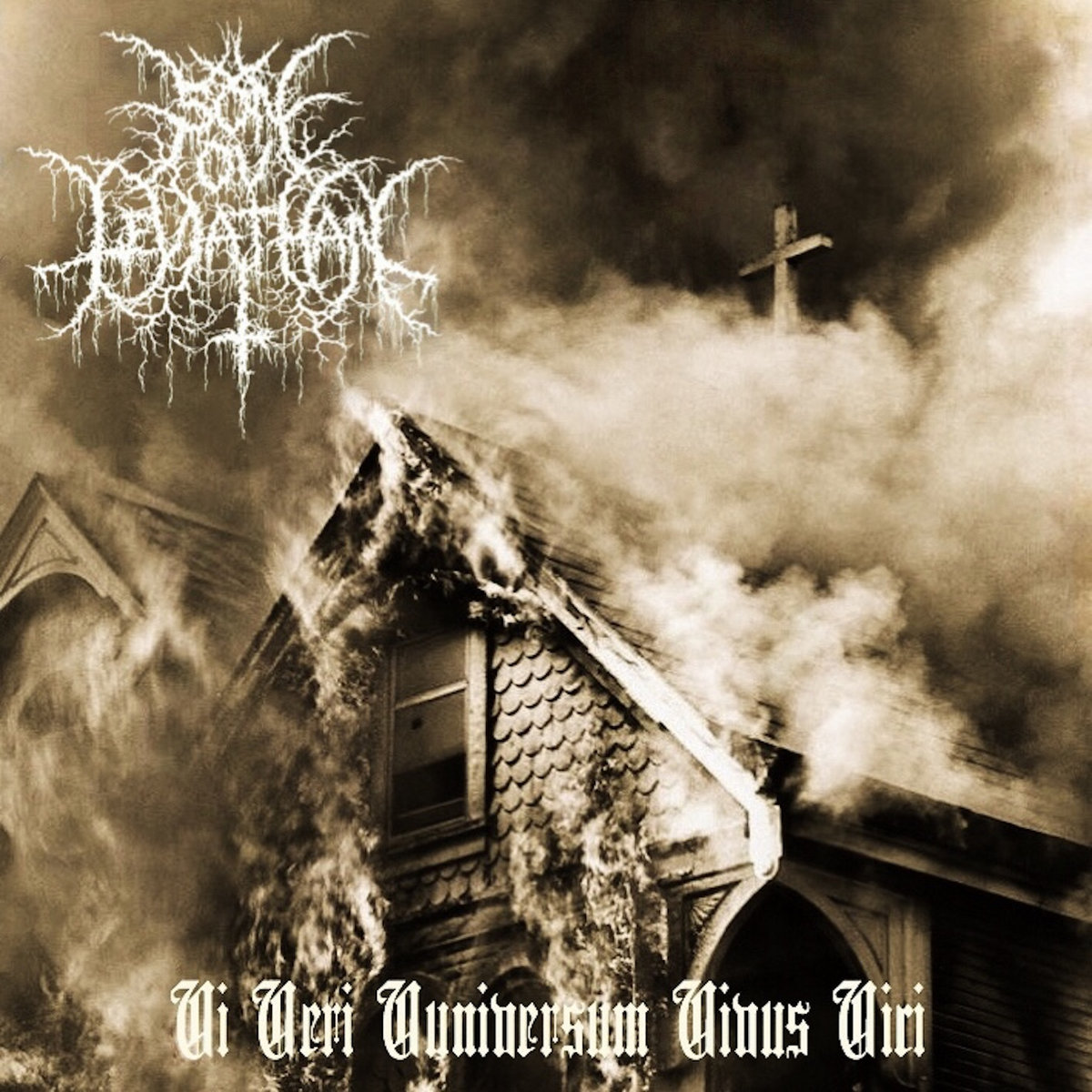 Vi Veri Vniversum Vivus Vici