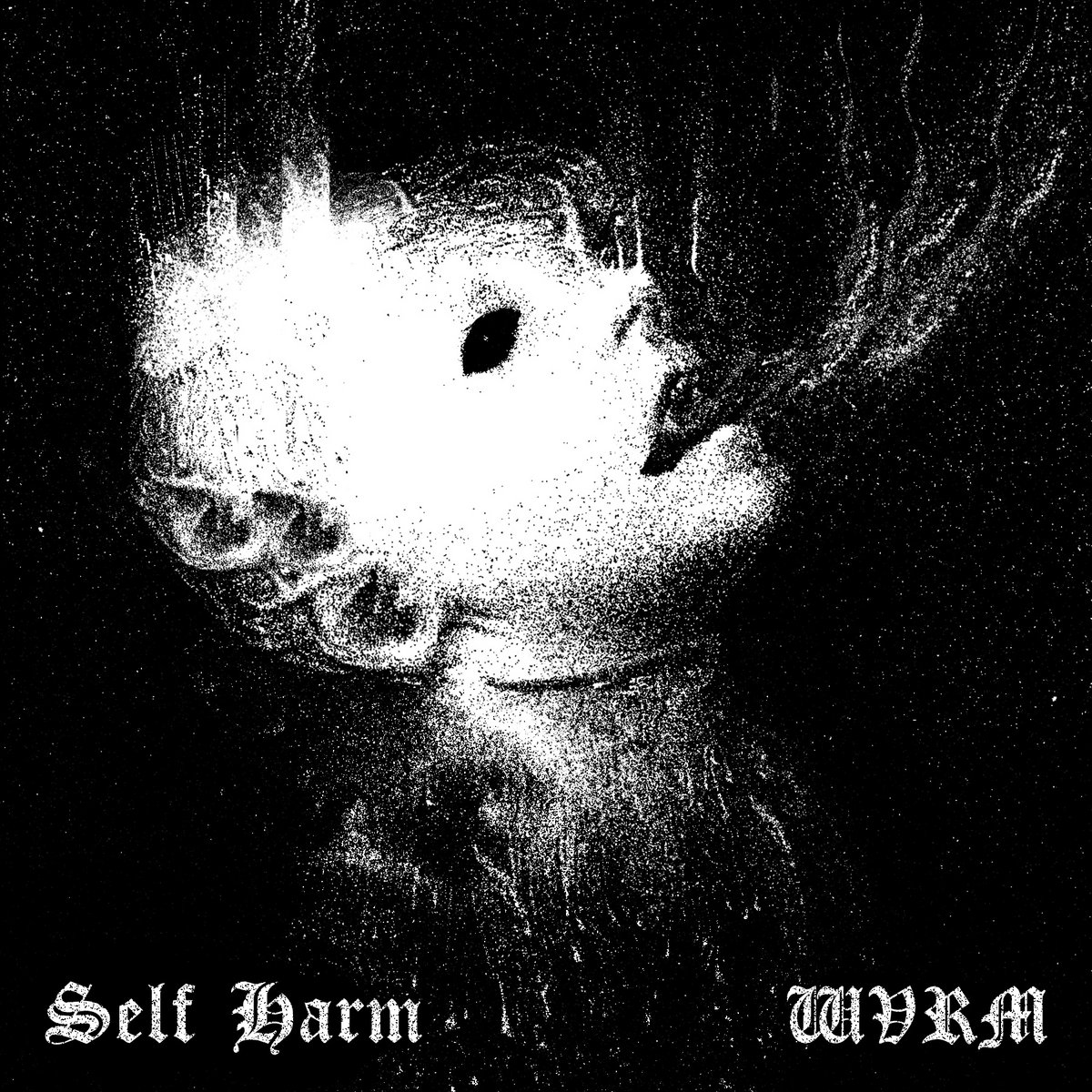 Split with Self Harm