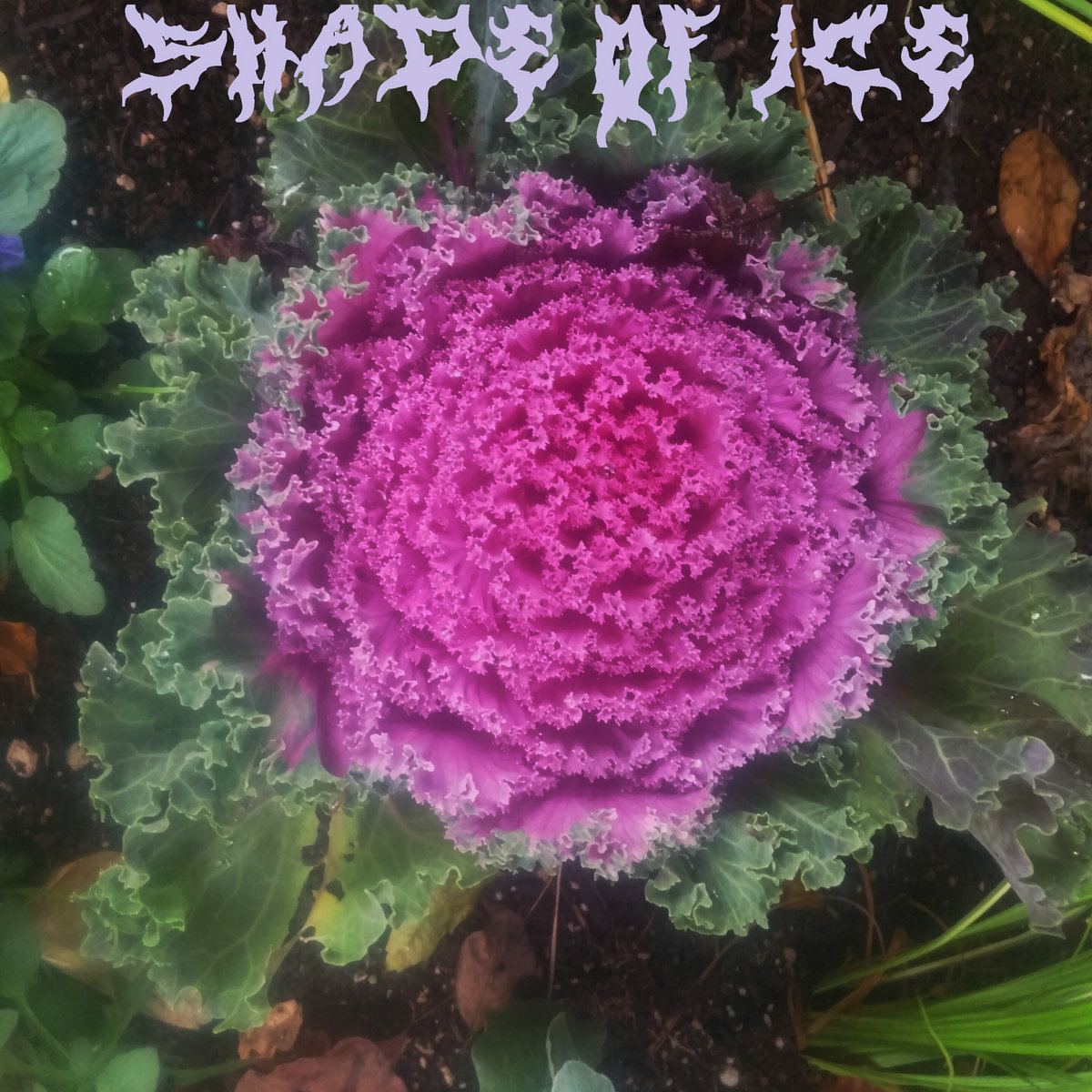 Dreamtale- Firebird(death metal cover)