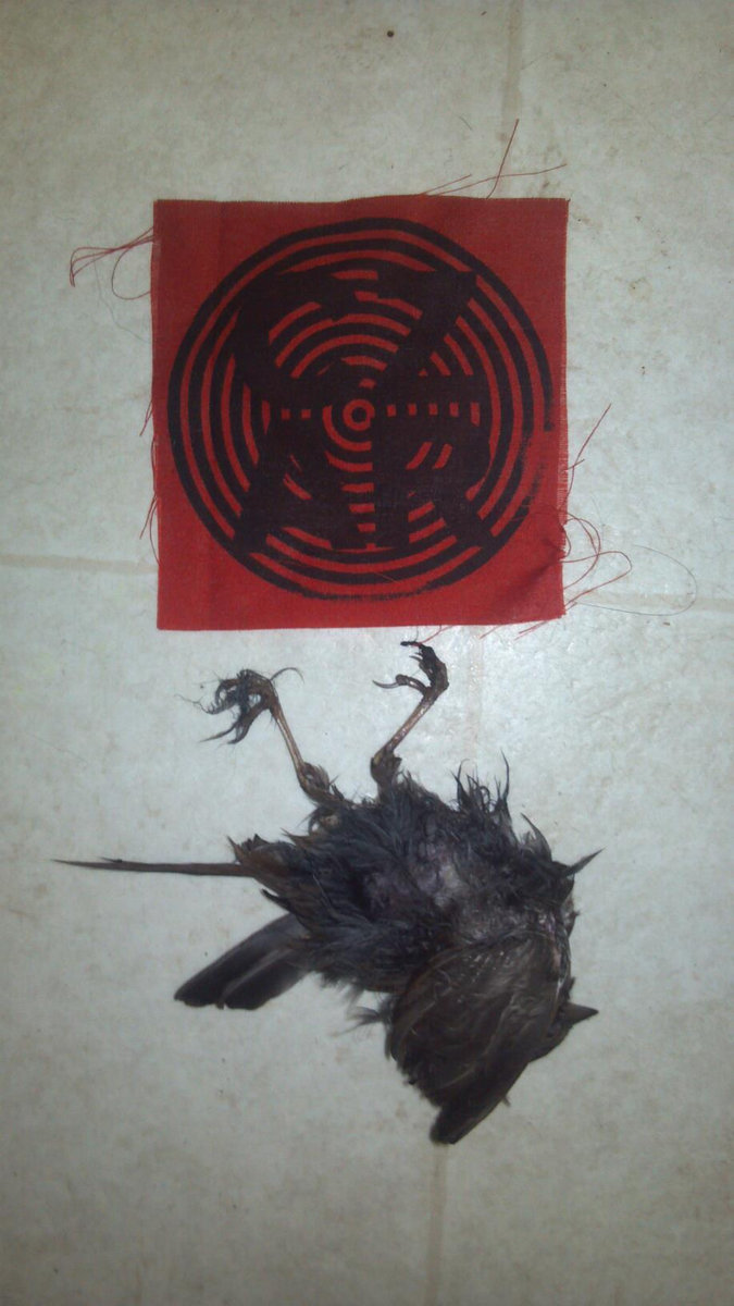 Demo: "Shark Cancer"