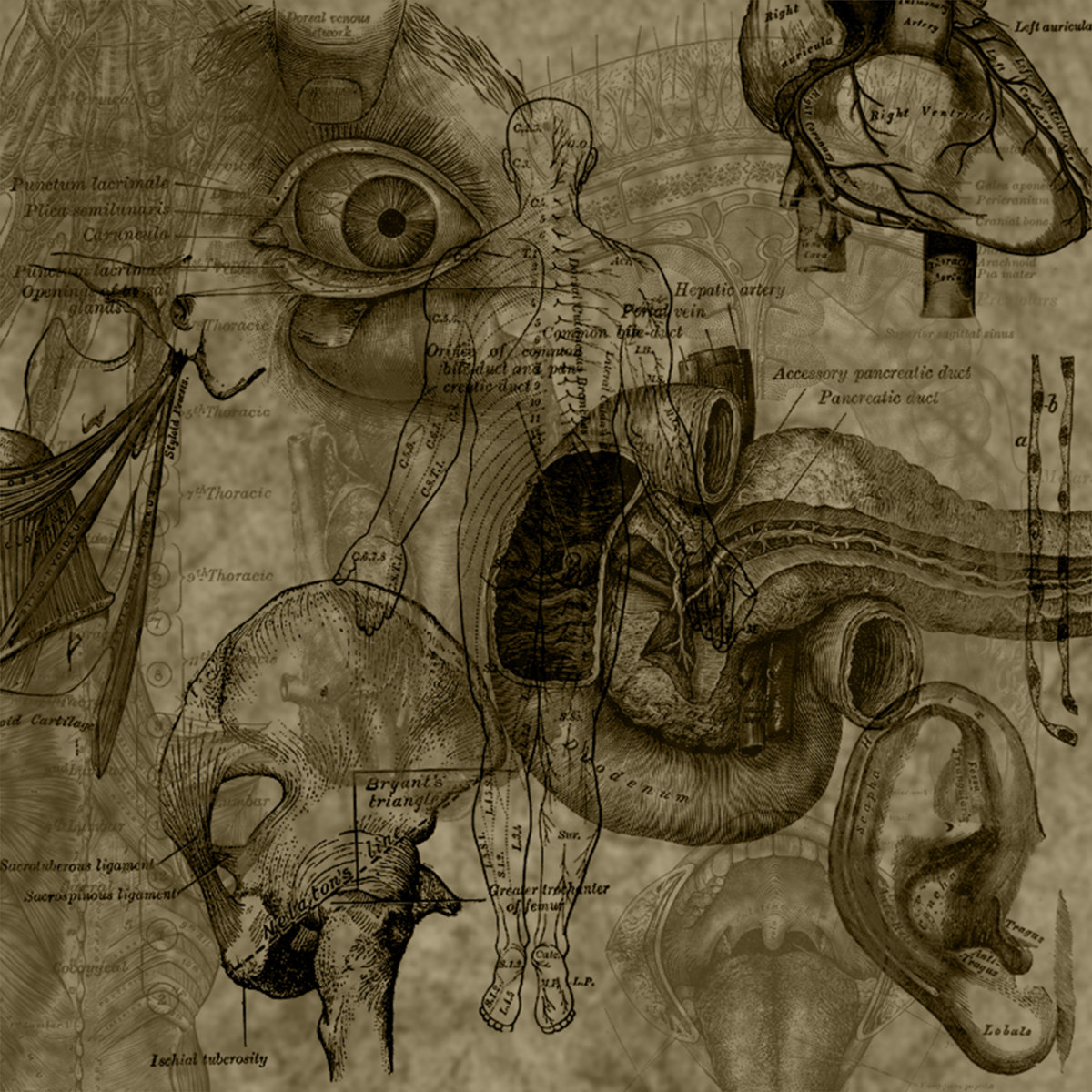 Wir sind Götter/Gott ist der Mensch