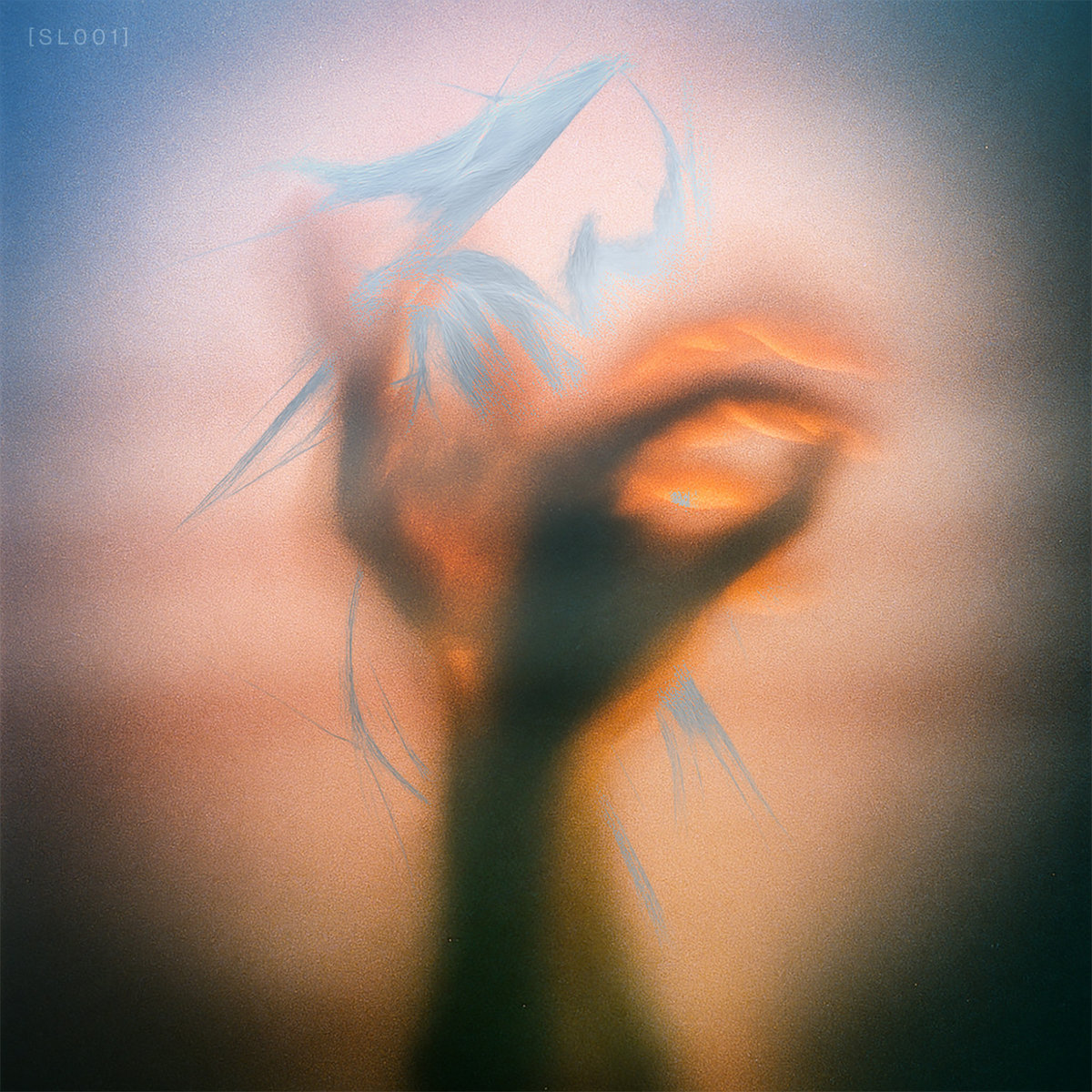 Various Artists 001 [SL001]